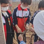 威县第六中学开展劳动实践教育